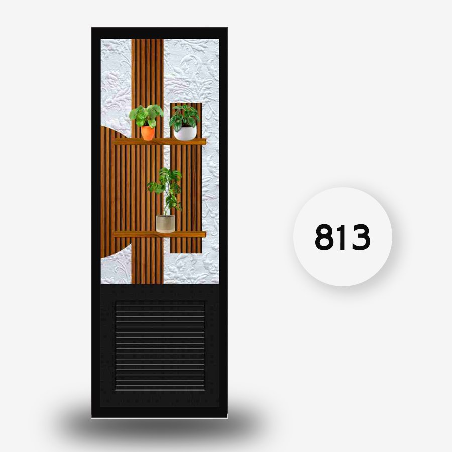 PICTURE DOOR