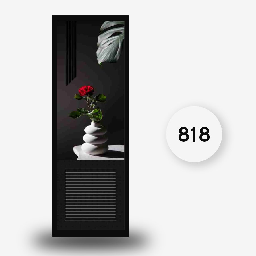 PICTURE DOOR